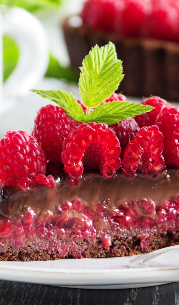 Вкусный пирог с шоколадом и ягодами малины 