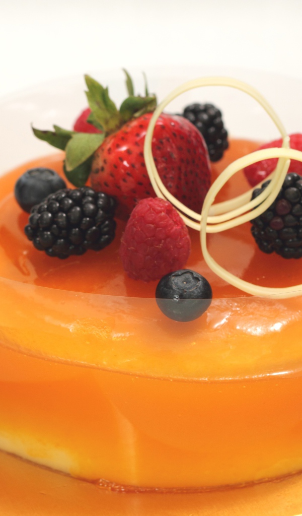 Десерт желе с ягодами клубники, черники, малины и ежевики