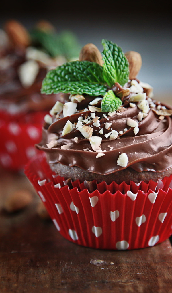 Свежий кекс с шоколадным кремом и орехами 