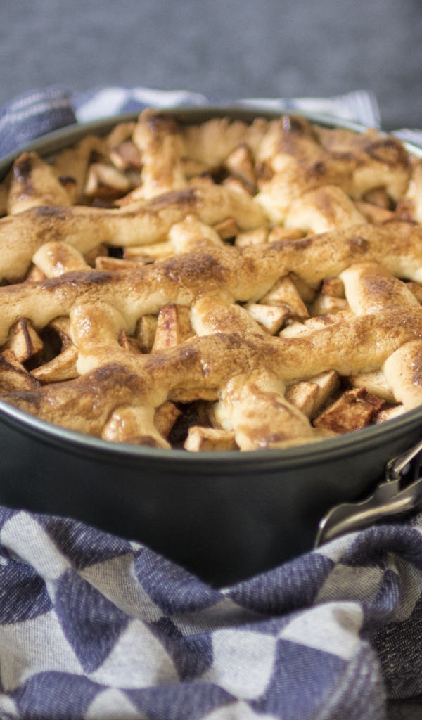 Свежий пирог на столе в форме для выпечки