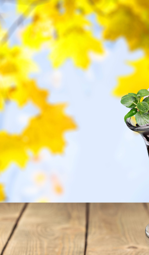 Мороженое в креманке с вишенкой на фоне желтых листьев