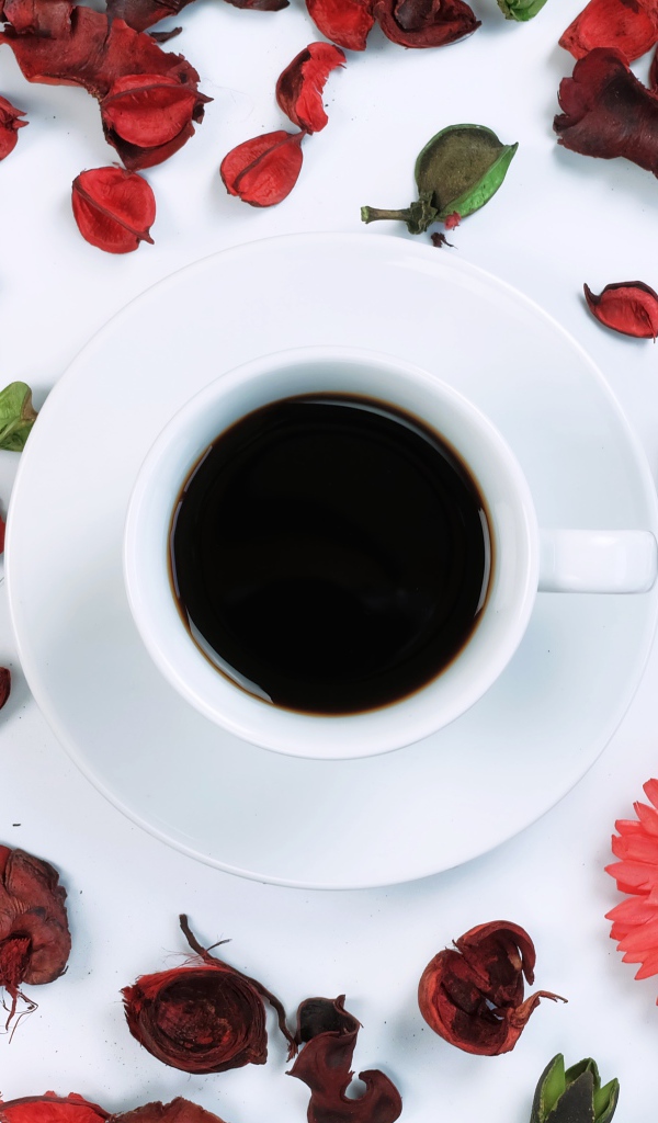 Чашка кофе на белой поверхности с сухими лепестками 