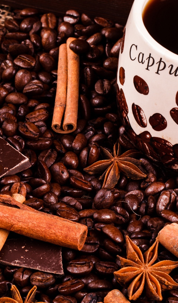 Чашка кофе с кофейными зернами, корицей, шоколадом и бадьяном 