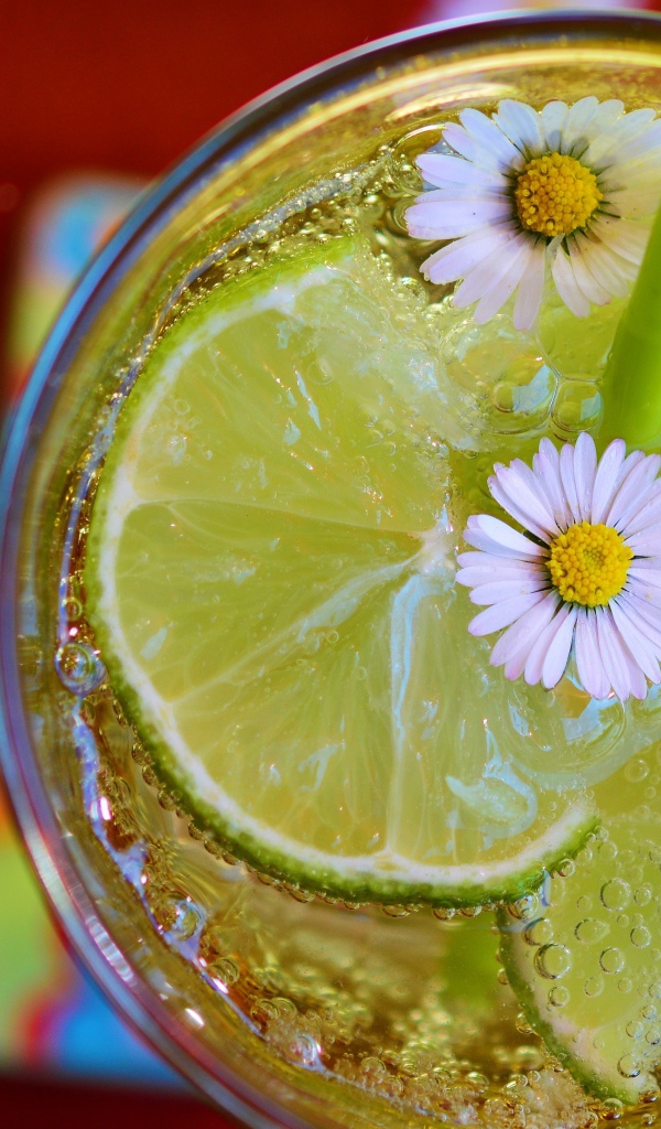 Газированный напиток с кусочками лайма и ромашками в стакане 