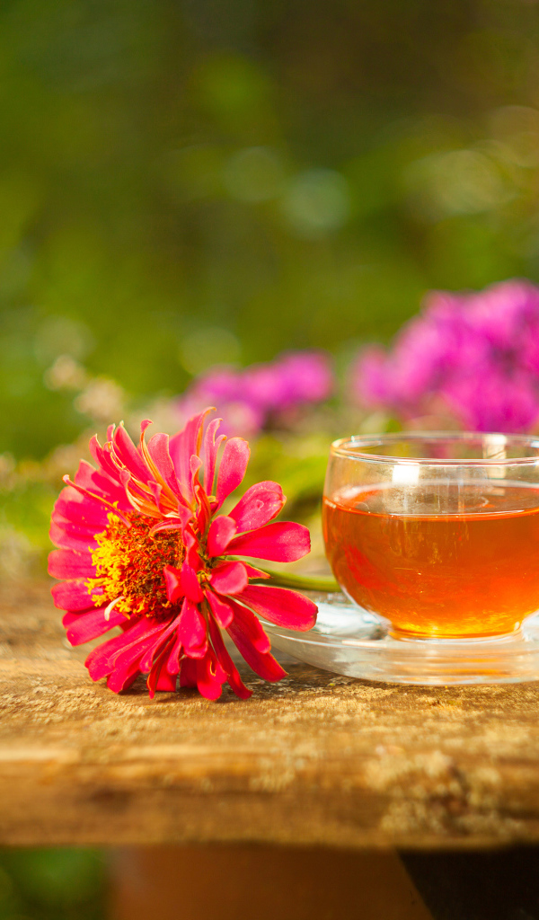 Стеклянная чашка чая на столе с цветком циннии