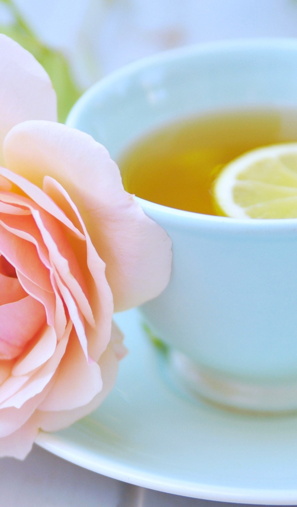 Белая чашка чая с лимоном и розовой розой
