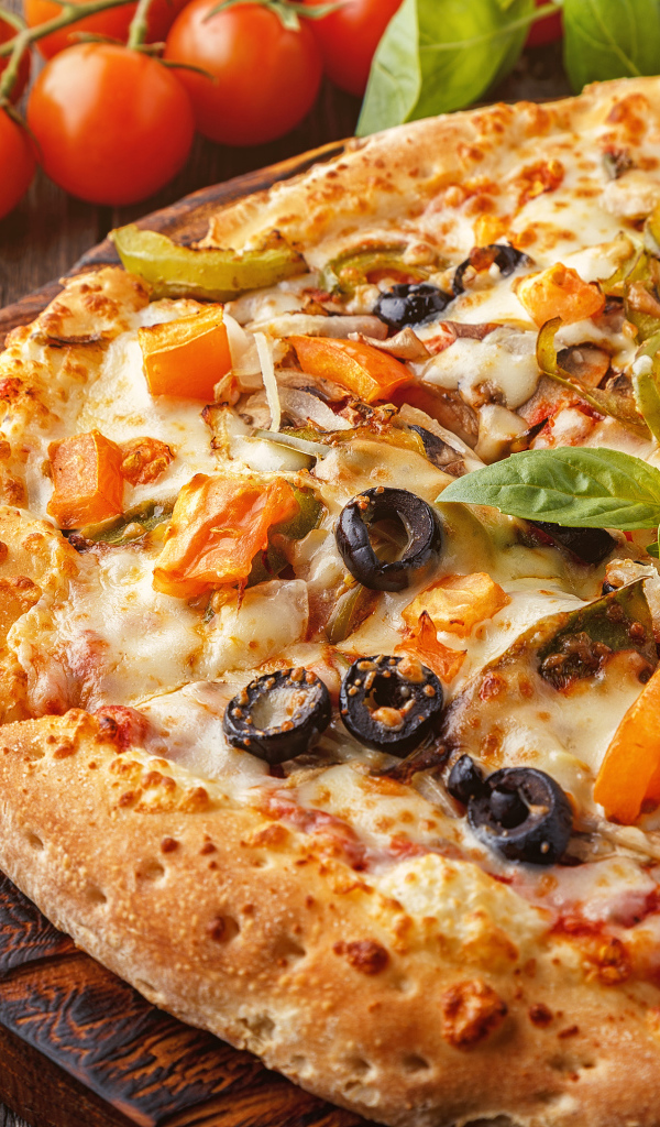 Аппетитная пицца с оливками на столе