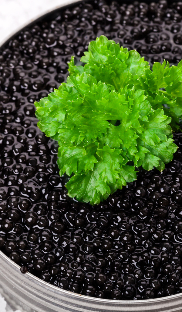 Банка черной икры с листиком петрушки