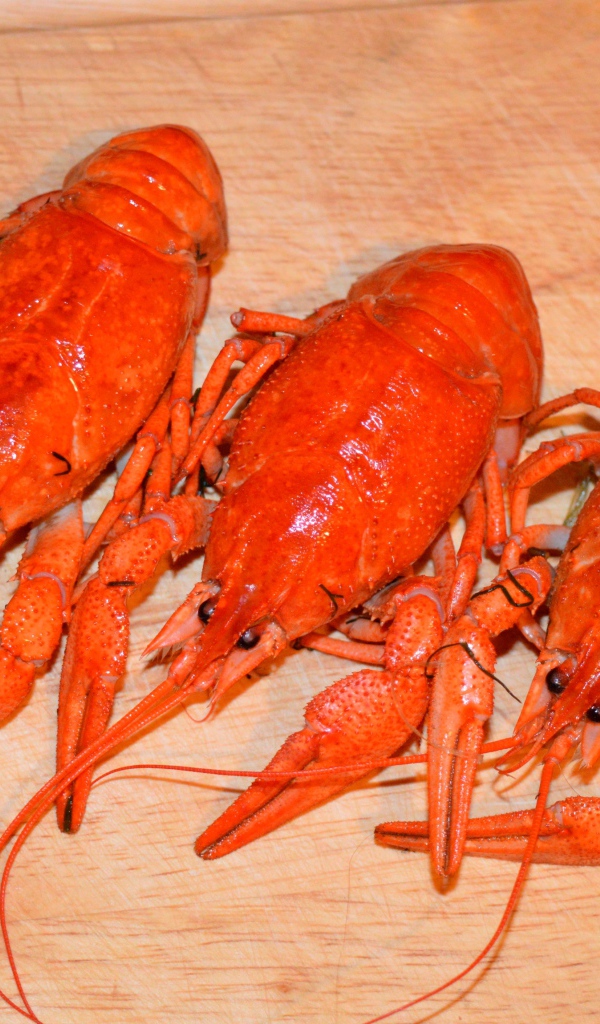 Три красных вареных рака лежат на деревянном столе