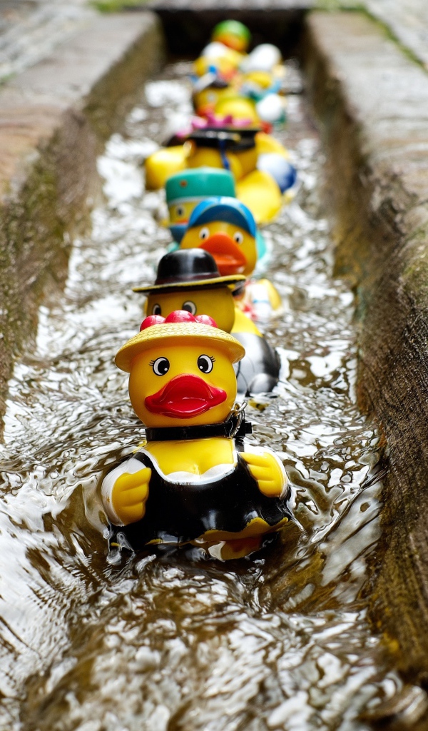 Игрушки утята в водосточной канаве