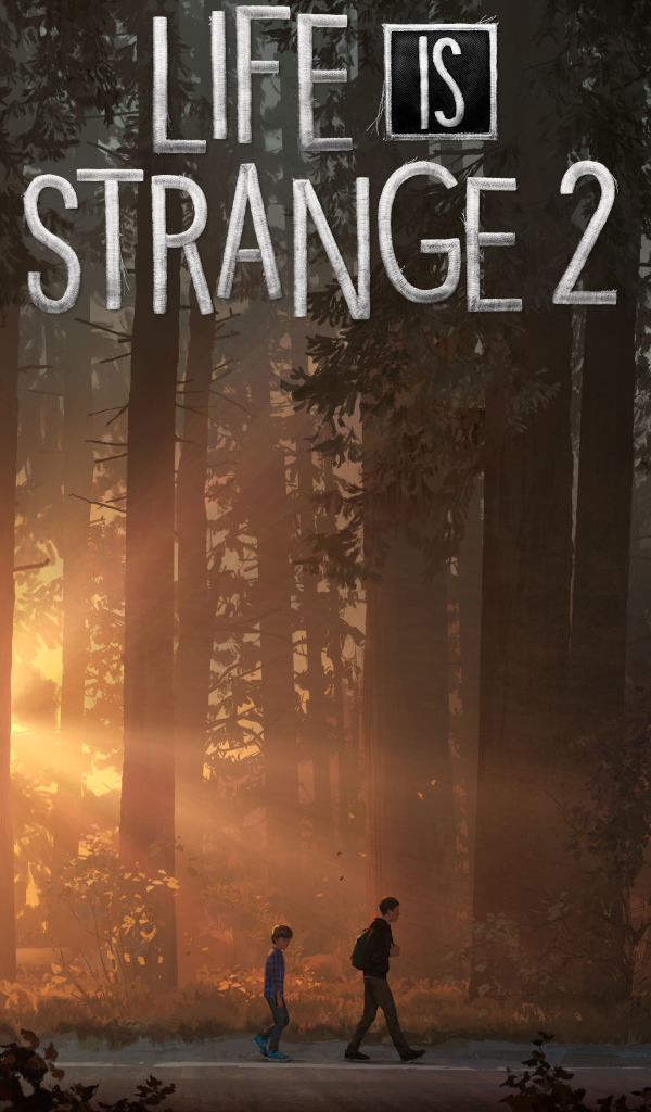Постер компьютерной игры Life Is Strange 2, 2018