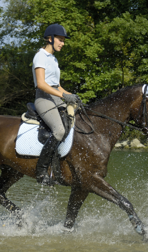 Молодая девушка на лошади скачет по воде