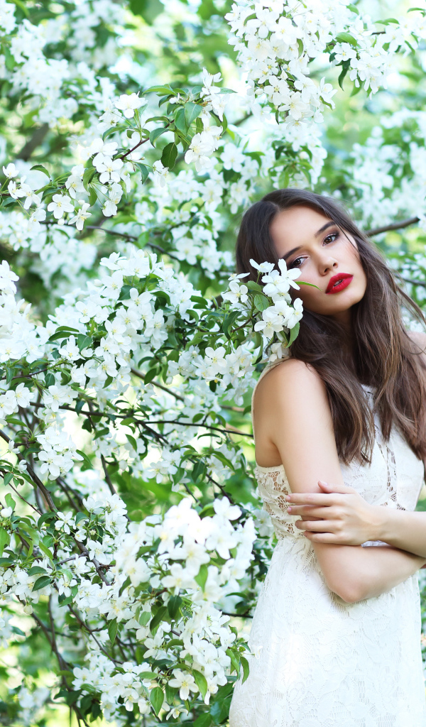 Красивая шатенка в цветущих ветках яблони