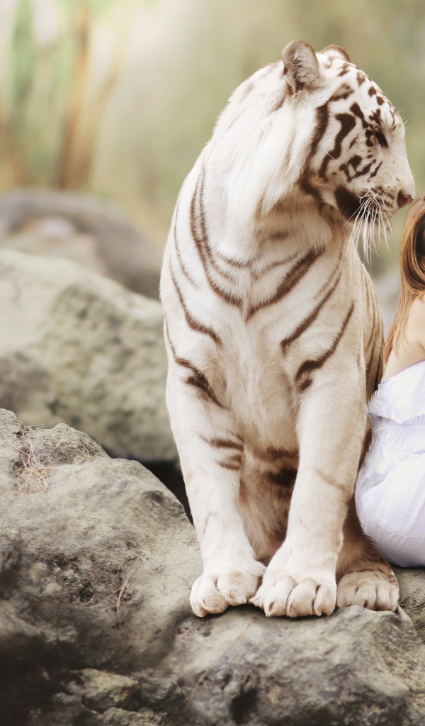 Красивая девушка в белом платье с белым тигром