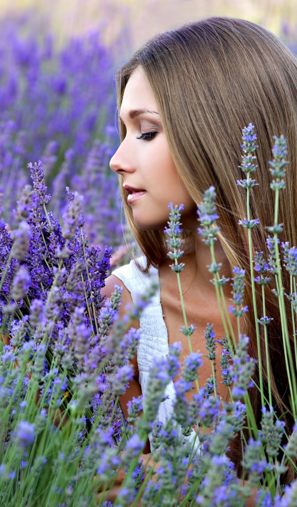 Delicate beautiful girl in lavender flowers