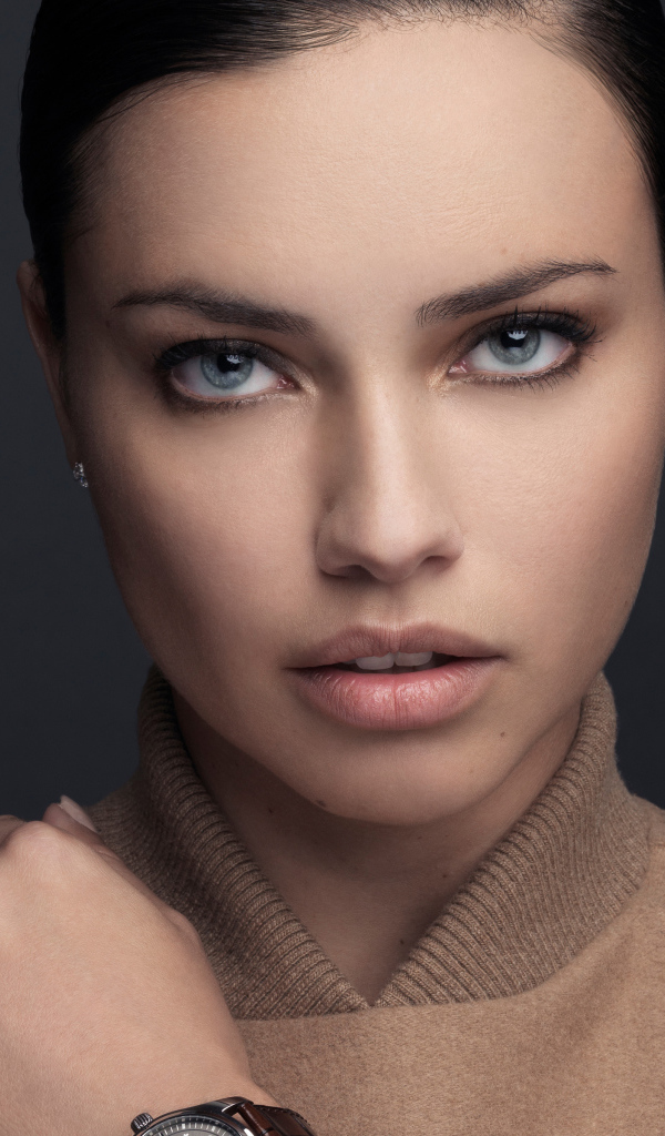 Бразильская супермодель Адриана Лима фото на сером фоне