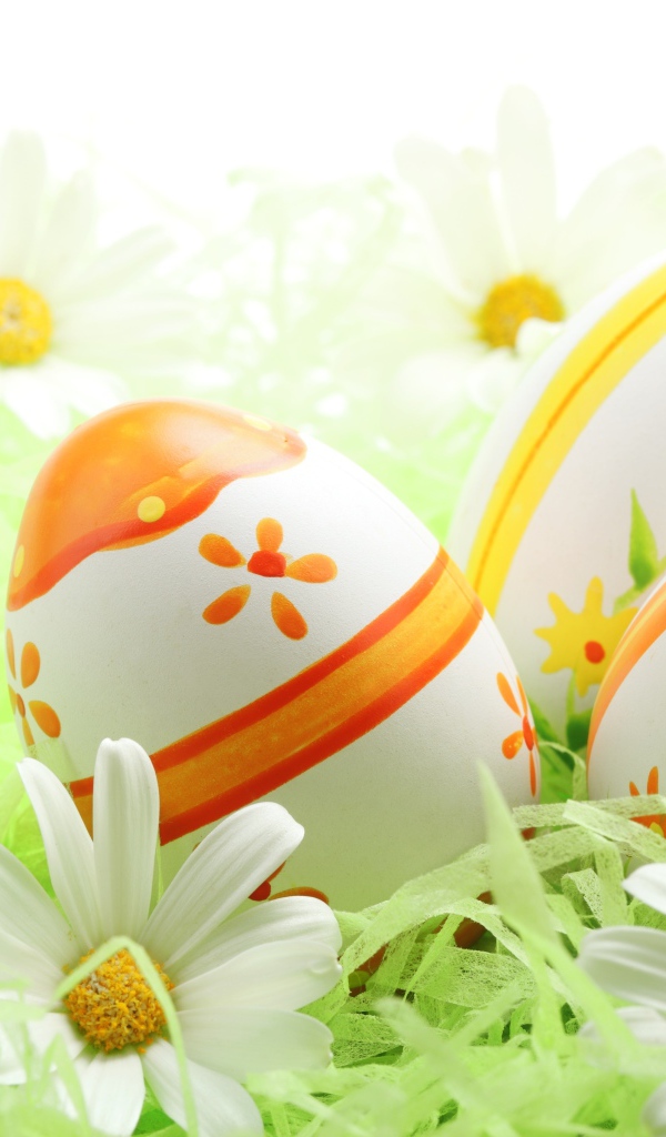 Раскрашенные пасхальные яйца и ромашки на Пасху
