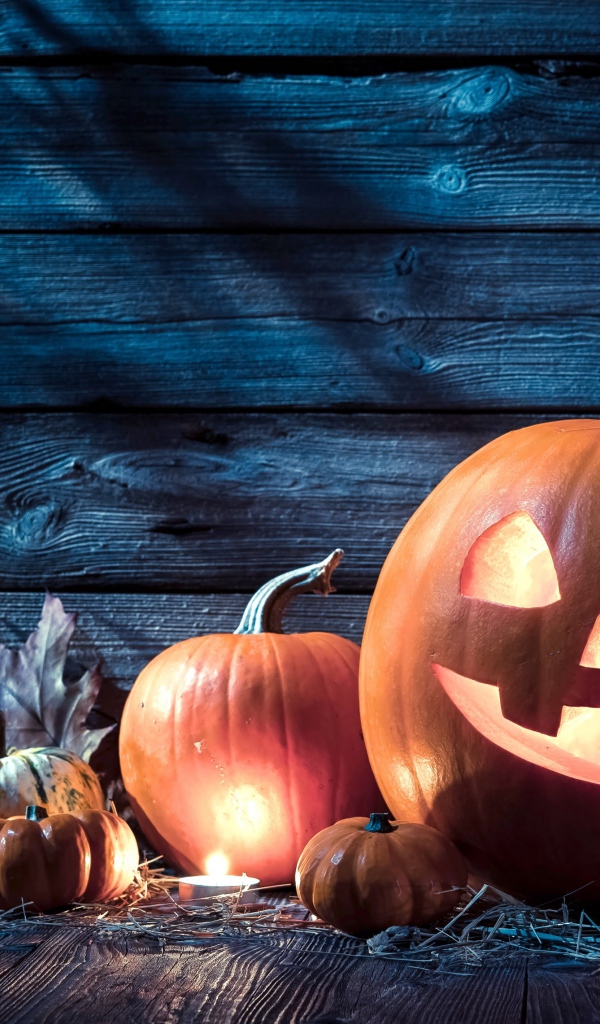 Тыквы на праздник Хэллоуин, 31 октября