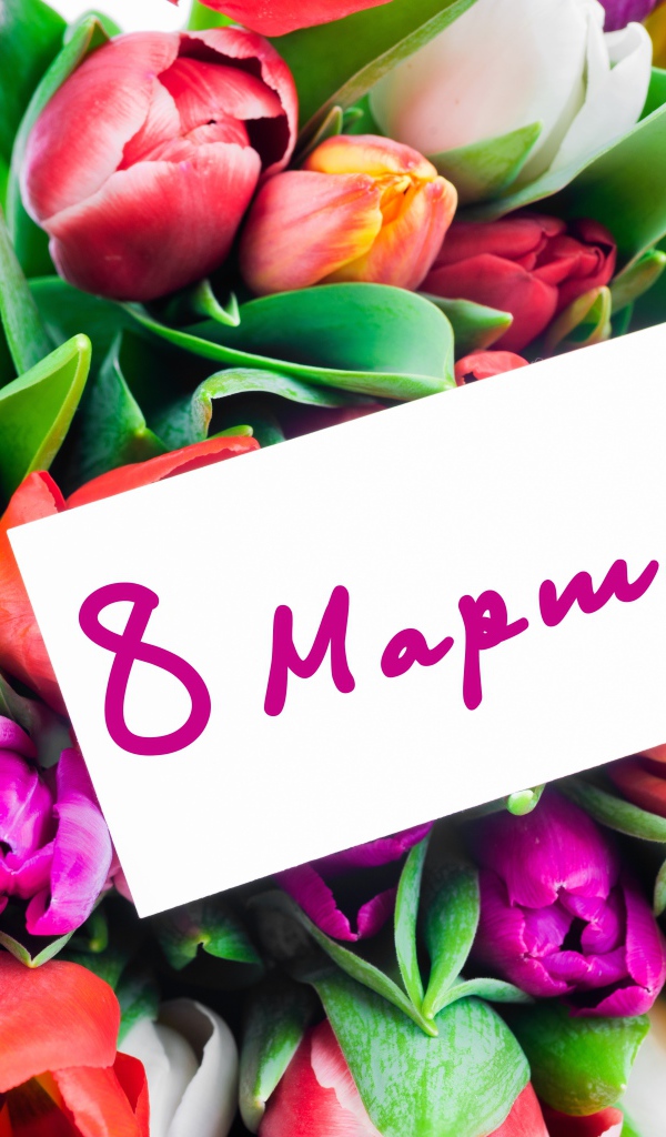 Красивый букет разноцветных тюльпанов на Международный Женский день 8 марта