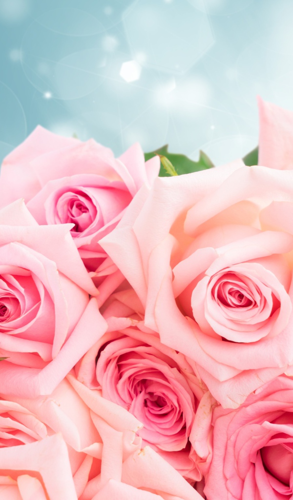 Большой красивый букет розовых роз в подарок на 8 марта