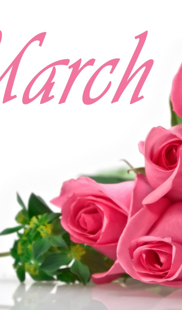 Букет розовых роз на белом фоне на 8 марта