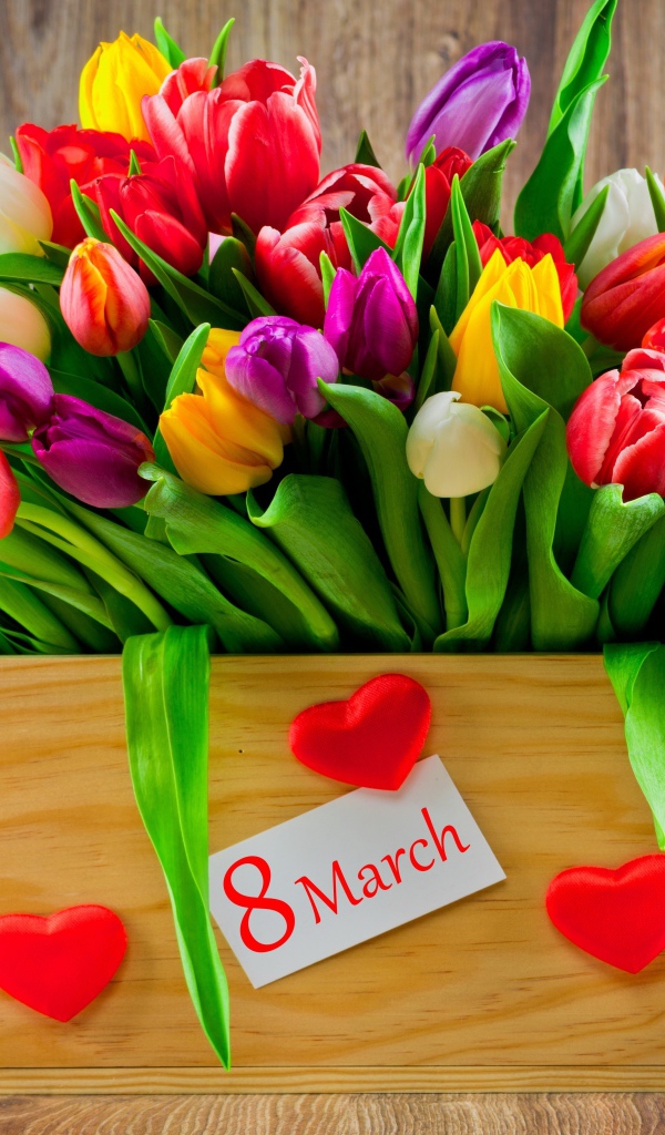 Ящик разноцветных тюльпанов на Международный женский день 8 марта