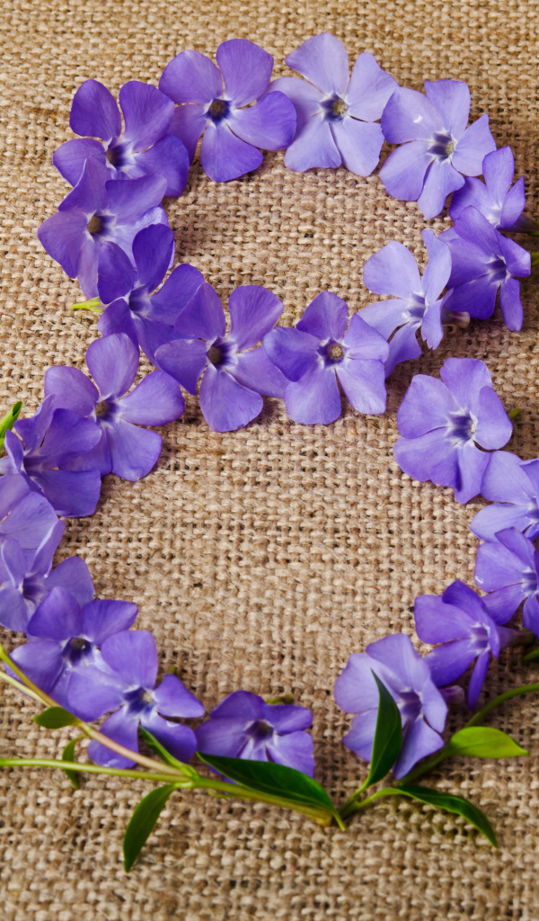 Цифра 8 из сиреневых цветов на Международный женский день 8 марта