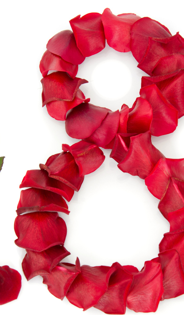 Цифра 8 из лепестков розы на белом фоне  на Международный женский день 8 марта