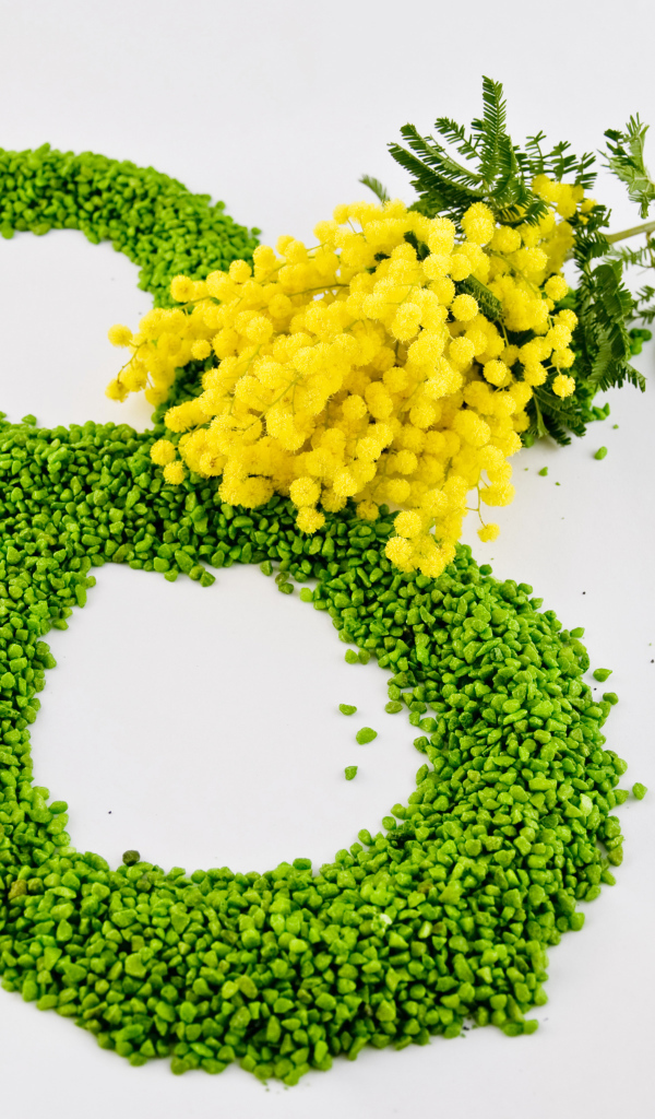 8 марта и ветка мимозы на сером фоне