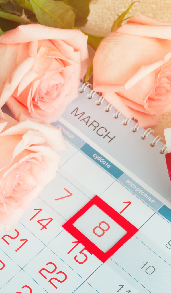 Три кремовых розы и подарок на Международный женский день 8 марта