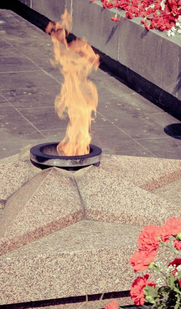 Красные гвоздики у вечного огня на День Победы 9 мая