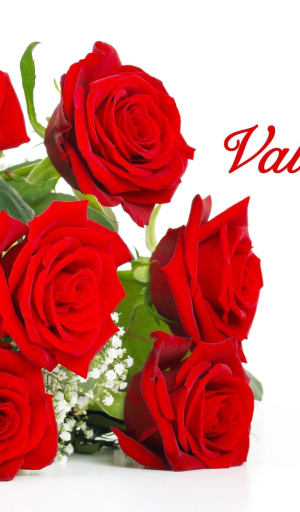 Красивый букет красных роз на День Святого Валентина