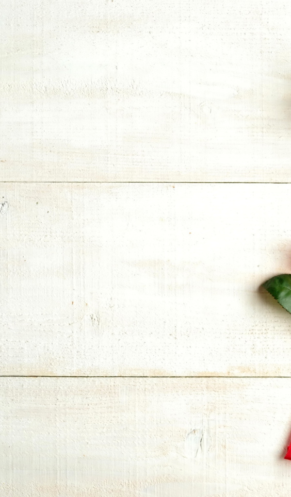 Красная роза и валентинка на белом фоне, шаблон для поздравительной открытки на День Святого Валентина