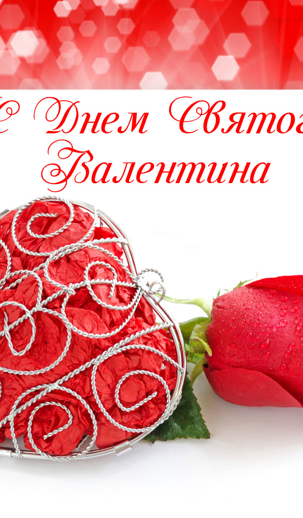 Красная роза и большое красное сердце на День Святого Валентина