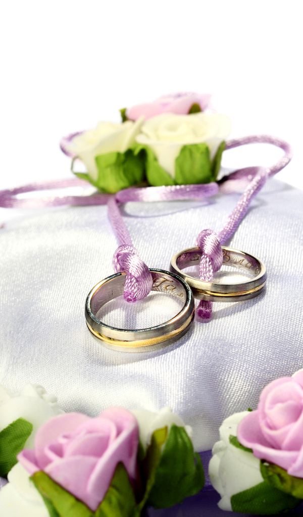 Два обручальных кольца на подушечке обшито