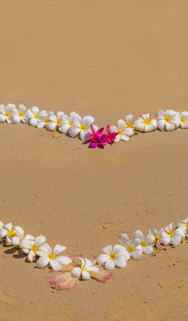 Сердце из цветов плюмерии на песке