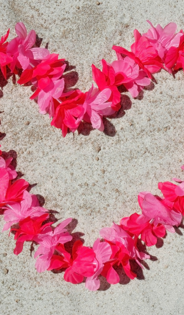 Сердце из розовых цветов на песке