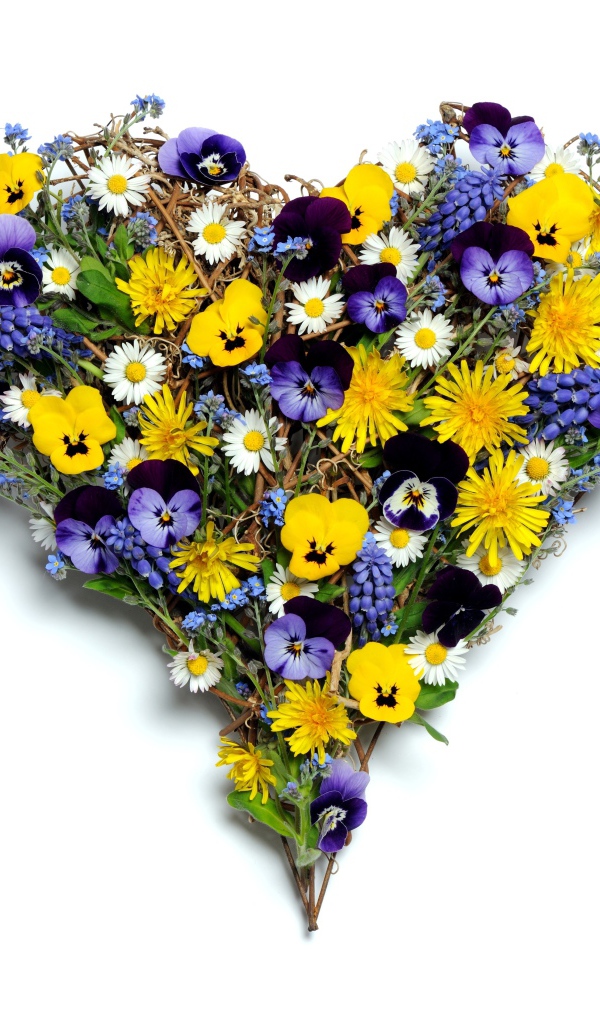 Сердце из полевых цветов на белом фоне