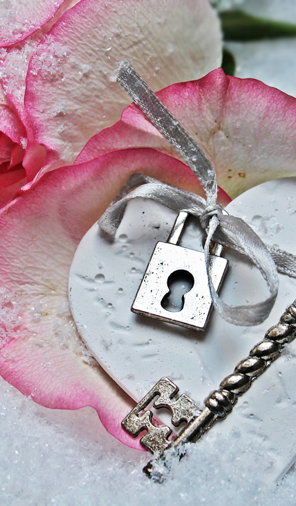 Розовая роза лежит на снегу с ключом