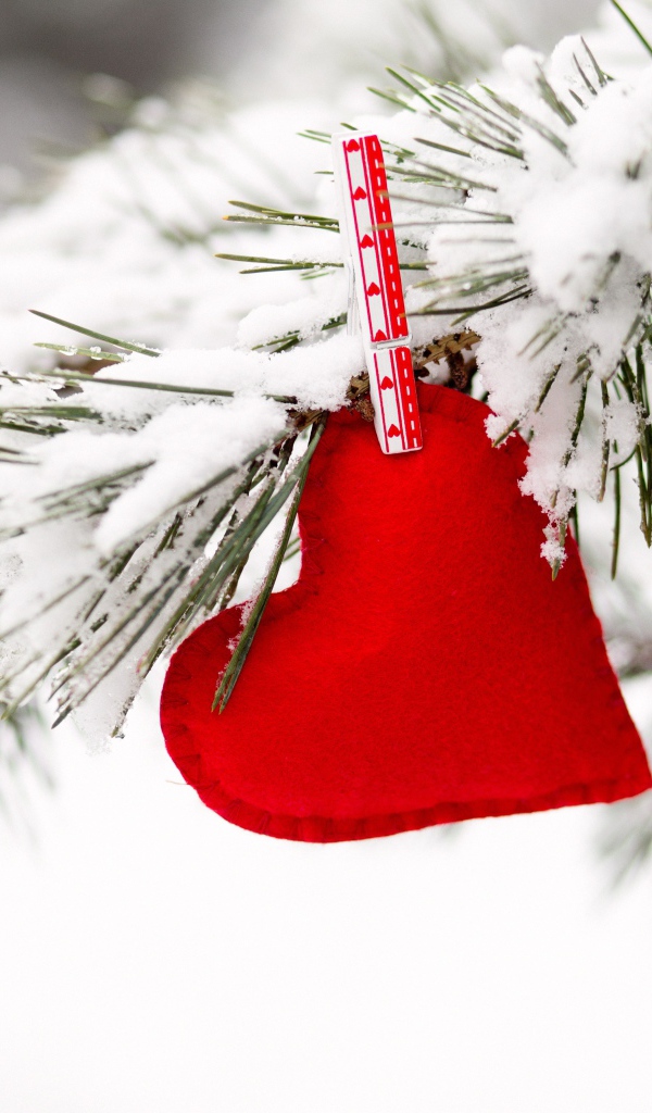 Красное сердечно висит на покрытой снегом сосновой ветке