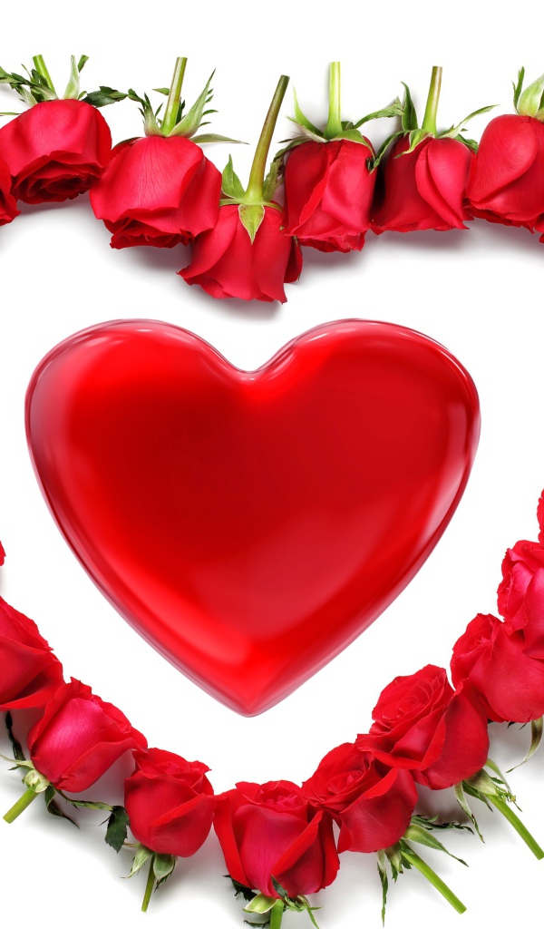 Red roses around a red heart on a white background