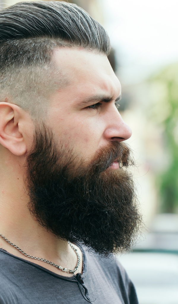 Стильный мужчина с бородой и прической на голове 