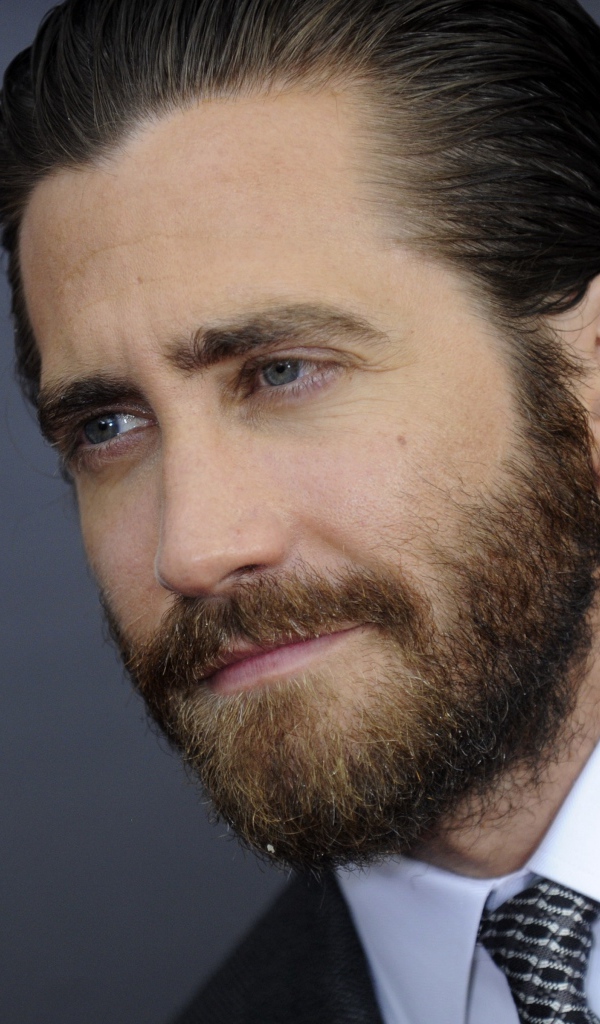 Популярный актер Джейк Джилленхол в костюме