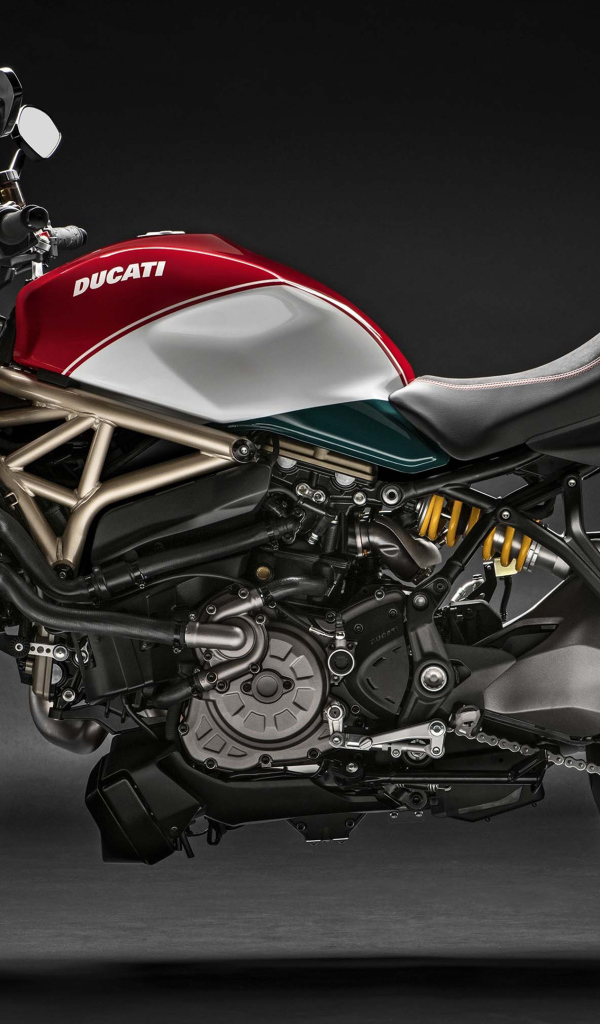 Мотоцикл Ducati Monster 1200, 2018 вид сбоку
