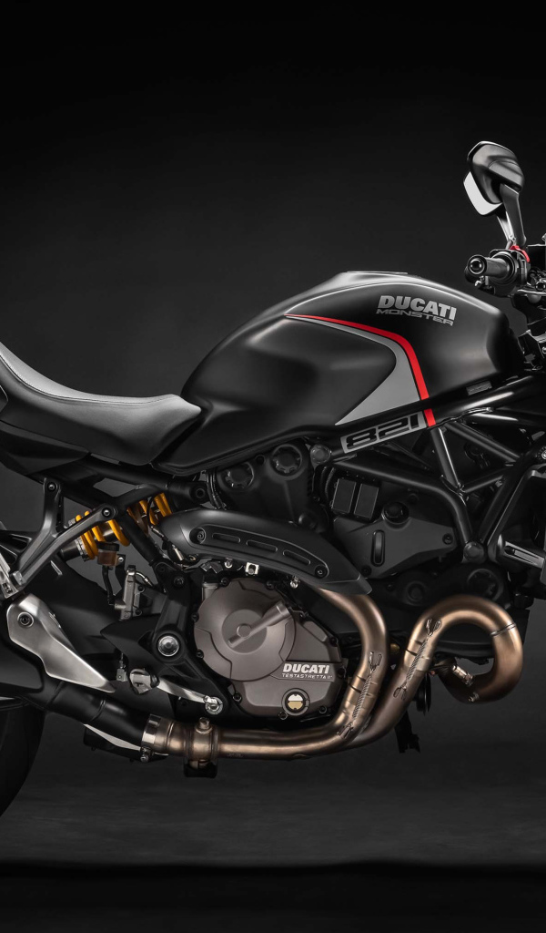 Motorcycle Ducati Monster 821, 2019, side view