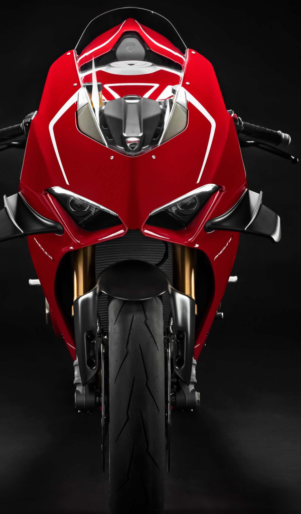 Мотоцикл Ducati Panigale V4 R 4K 2019 года вид спереди