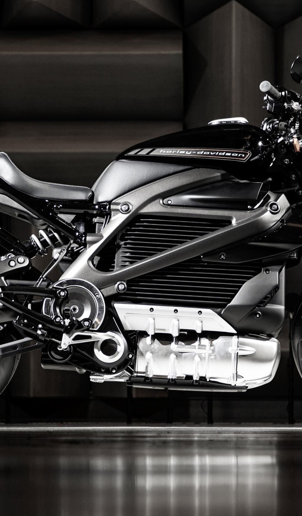 Дорогой электрический мотоцикл  Harley-Davidson, 2020 