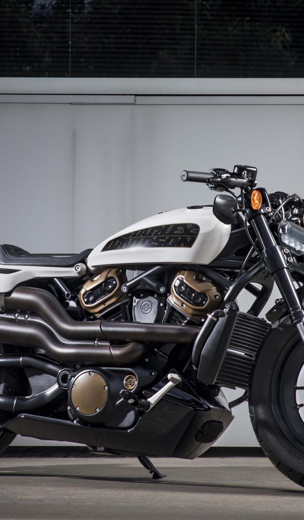 Мотоцикл Harley-Davidson Custom, 2020