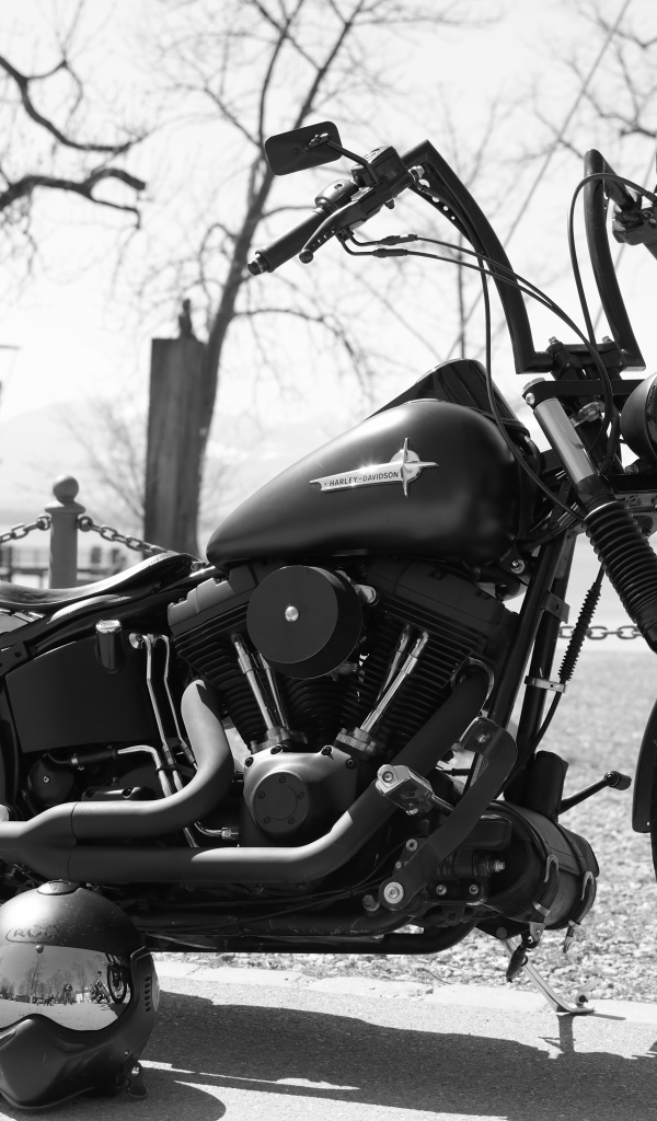 Мотоцикл  Harley-Davidson черно белое фото
