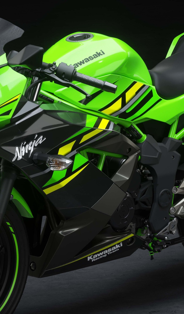 Новый мотоцикл Kawasaki Ninja 125, 2019 года